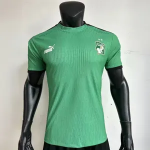 2023 Ivory Coast Green Kit Player Version Shirts Football AAAAJersey Yupoo 1
