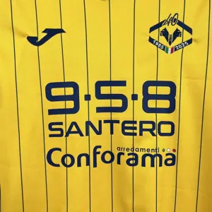 25-26 Hellas Verona 120th Anniversary Edition Football T-Shirt AAAAJersey Supply Yupoo 3
