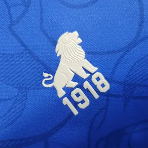 23-24 Fortaleza Blue 2