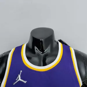 75th Anniversary James #6 Los Angeles Lakers Jordan Purple NBA Jersey 3
