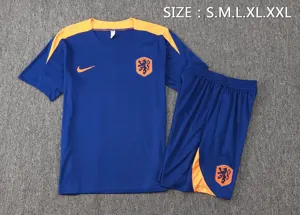 2024 Netherlands Training Soccer Jerseys Football Shirts 1