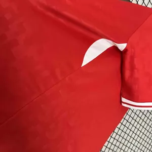 2024 Denmark Home Kit UEFA Euro Shirt Football Replicas Yupoo 7