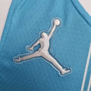 75th Anniversary Hayward #20 Charlotte Hornets Blue NBA Jersey 9