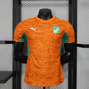 2026 Cote d'Ivoire Home Kit Player Version Football T-Shirt AAAAJersey Supply Yupoo