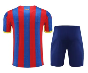 23-24 Barcelona Training Soccer Jerseys Yupoo 2