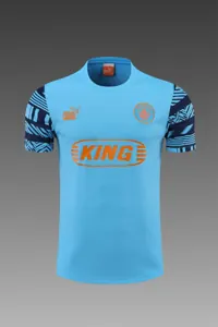 22-23 Manchester City Training Wear Short Sleeve Kit Blue 17