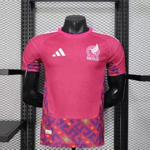 2026 Mexico Pre-Match Football Player Version T-Shirt AAAAJersey Supply Yupoo