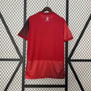 2024 Poland Away Kit UEFA Euro Shirt Football Replicas Yupoo 3