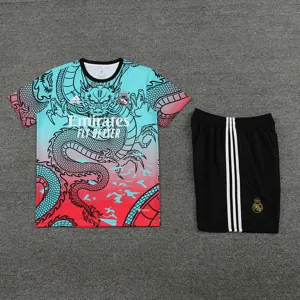 24-25 Real Madrid Training Soccer Jerseys Football Shirts 1