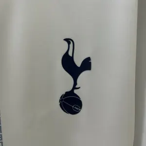 25-26 Tottenham Hotspur Pre-match Kit Soccer T-Shirt AAAAJersey Dropship Yupoo 4