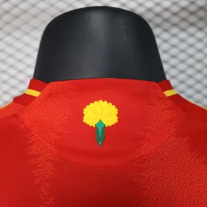 2024 Spain Home Kit Player Version Shirt Jersey Supplier Yupoo 4
