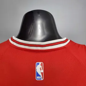 JDRDAN#45 Chicago Bulls 5