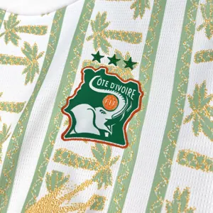 2026 Ivory Coast Away Mens Kit Football T-Shirt AAAAJersey Supply Yupoo 6 2