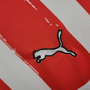 24-25 Eindhoven PSV Home Shirt Soccer Uniforms Football AAAAJersey Yupoo 1