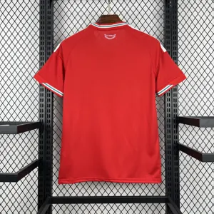 2026 Wales World Cup Home Kit Football T-Shirt AAAAJerseys Supply Yupoo 7
