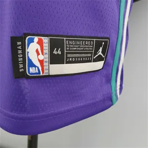 Hornets Ball#2 Purple 6