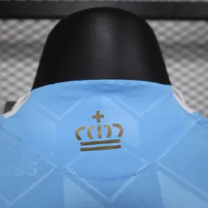 2024 Belgium Away Kit Player Version Shirt Jersey Supplier Yupoo 8