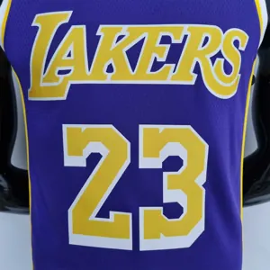 75th Anniversary James #23 Los Angeles Lakers Jordan Purple NBA Jersey 4