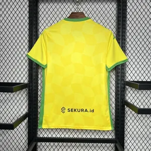 24-25 Norwich City Home Shirt Soccer Uniforms Soccer AAAAJersey Yupoo 3