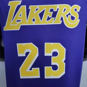 James #23 Lakers purple 6
